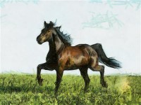 Картина автора Постеры под названием Конь