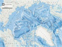 Картина автора Карты под названием Арктическое дно