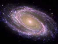 Картина автора Постеры под названием M81 Galaxy is Pretty in Pink