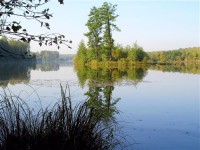Картина автора Природа под названием Lake silent  				 - Озеро тихое