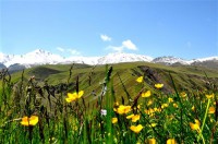 Картина автора Природа под названием the slopes of Elbrus  				 - склоны Эльбруса