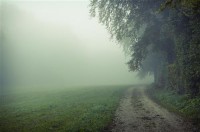 Картина автора Природа под названием туман