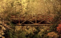 Картина автора Природа под названием bridge  				 - мост