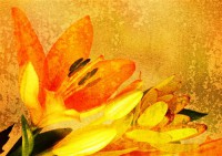 Картина автора Цветы под названием flowers