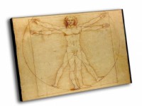 Картина автора Леонардо да Винчи под названием Витрувианский человек